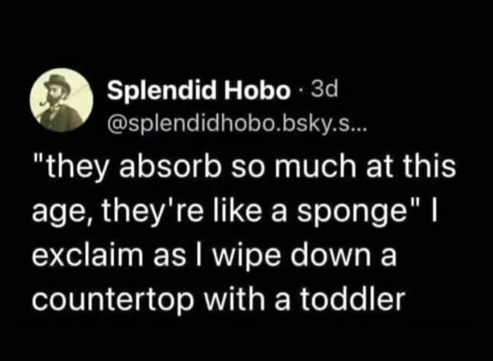 Text post from Splendid Hobo humorously comparing toddlers to sponges, perfect relatable memes for parents about mess at home.