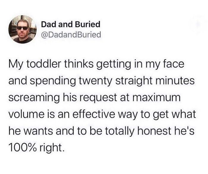 Dad's tweet humorously describes a toddler's loud and persistent requests, a relatable memes for parents moment.
