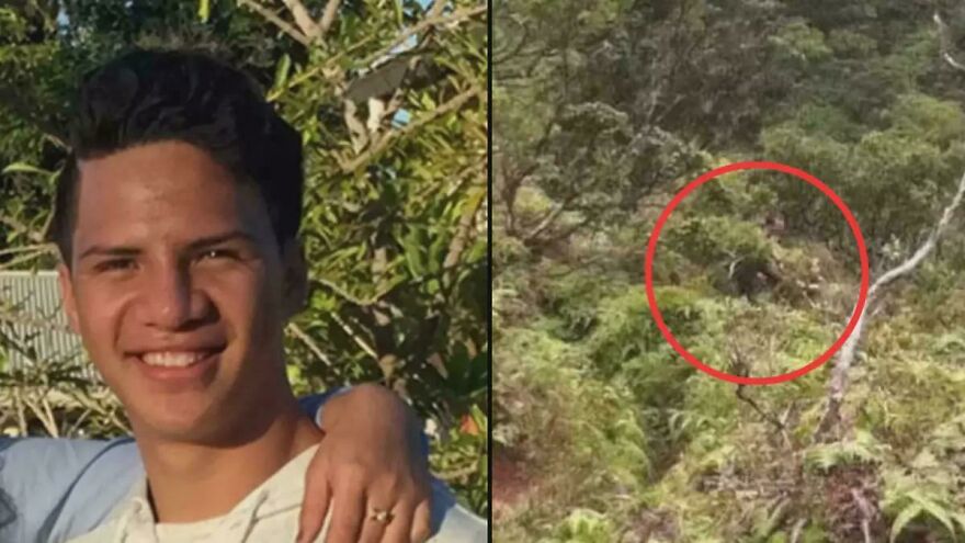 Side-by-side images showing a smiling young man and a forest scene with an animal circled, random pictures worth exploring.