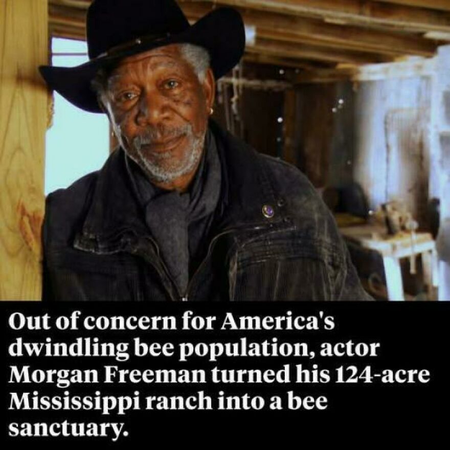Morgan Freeman shown with cowboy hat, highlighting his Mississippi ranch converted into a bee sanctuary to aid bee population.