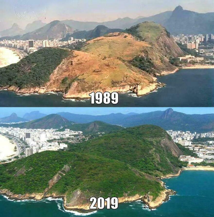 Comparison of two random pictures showing landscape change from 1989 to 2019 with increased greenery and urban growth.