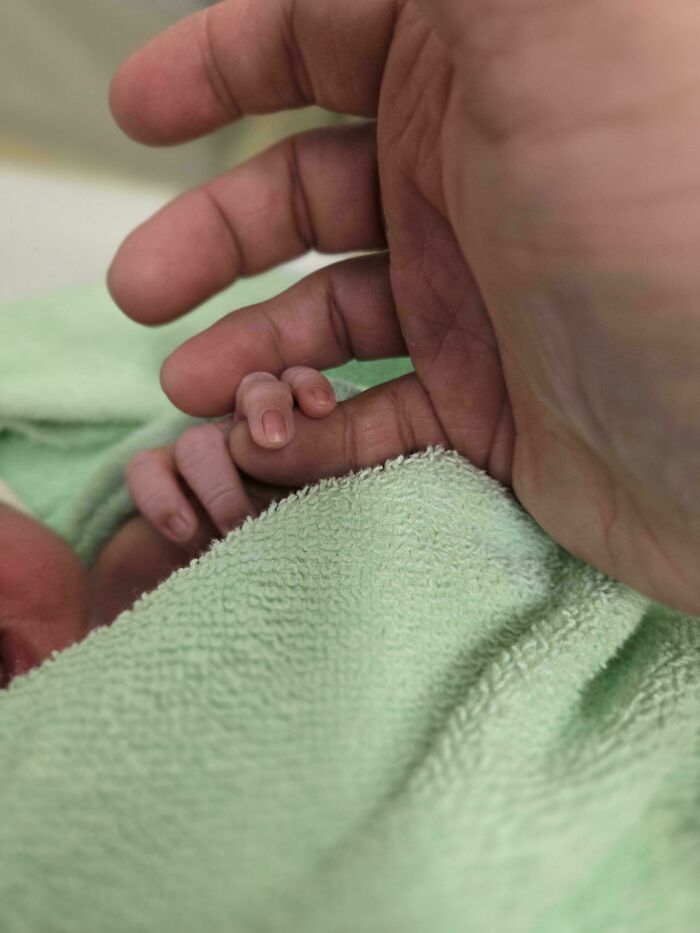 Adult hand gently holding tiny newborn hand wrapped in a soft green towel in a heartwarming photo.