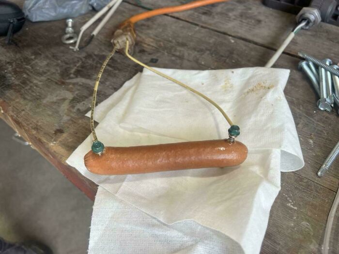 Hot dog held by metal wires on a workbench, illustrating unique and fascinating jobs that make a 9-to-5 more bearable.