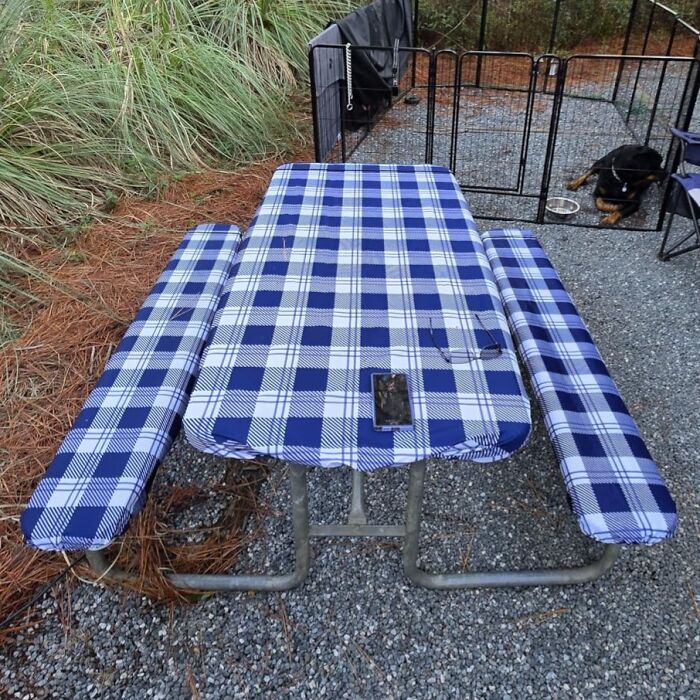 Blue checked picnic table cover with matching bench cushions outdoors, perfect gift to impress your mother-in-law.