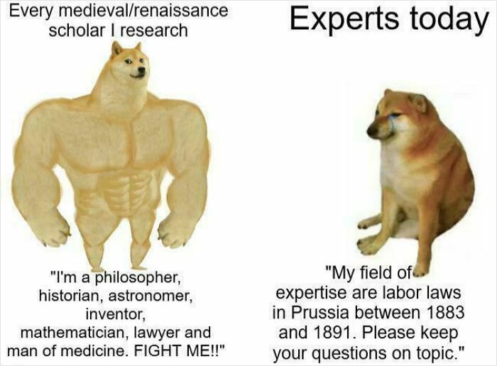 Muscular Doge representing medieval scholars versus sad Doge as modern experts in history class meme.