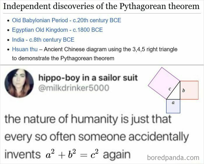 Pythagorean theorem history explained with a humorous meme about its independent discovery across cultures.
