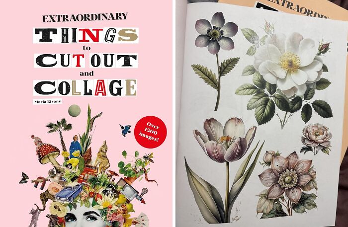 Book cover featuring collage art and an open page with vintage floral illustrations, ideal gifts for Hobby Lobby lovers.