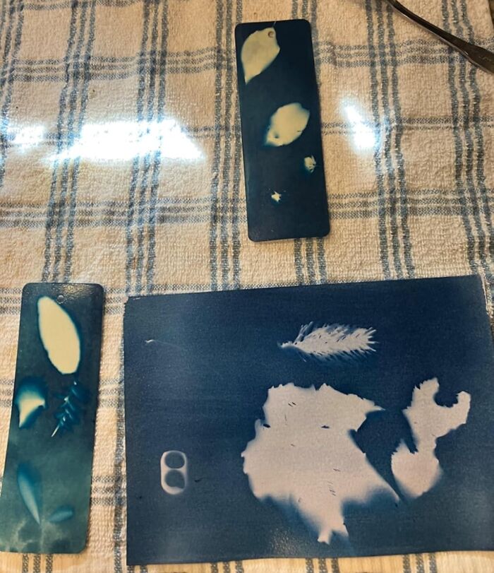 Blue cyanotype prints of leaves and feathers displayed on a plaid tablecloth, perfect hobby lobby gift idea.