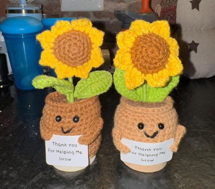 Handmade crocheted sunflower gifts with thank you notes, perfect for the teacher with patience and caffeine a*******n.