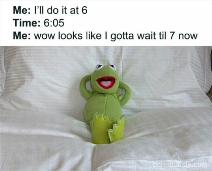 College meme with Kermit the Frog lounging, humorously depicting procrastination and students running on hope and energy drinks.