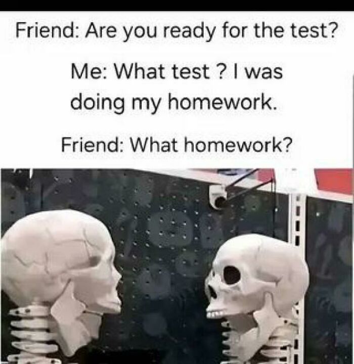 Two skeletons having a humorous conversation about forgetting homework, illustrating college memes for students running on hope and energy drinks.