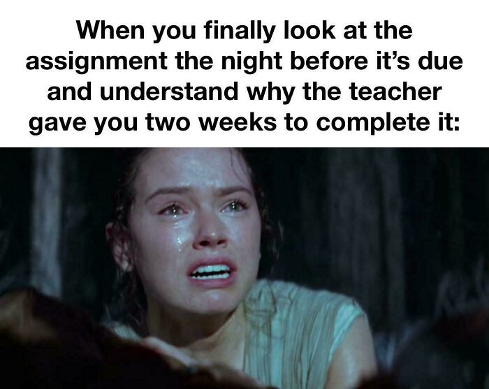 Student stressed and emotional realizing the assignment deadline and why the teacher gave two weeks to complete it, college memes energy drinks