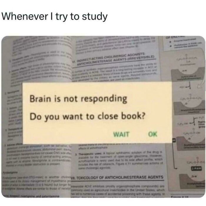 Humorous college meme showing study struggles with brain not responding message on textbook page.