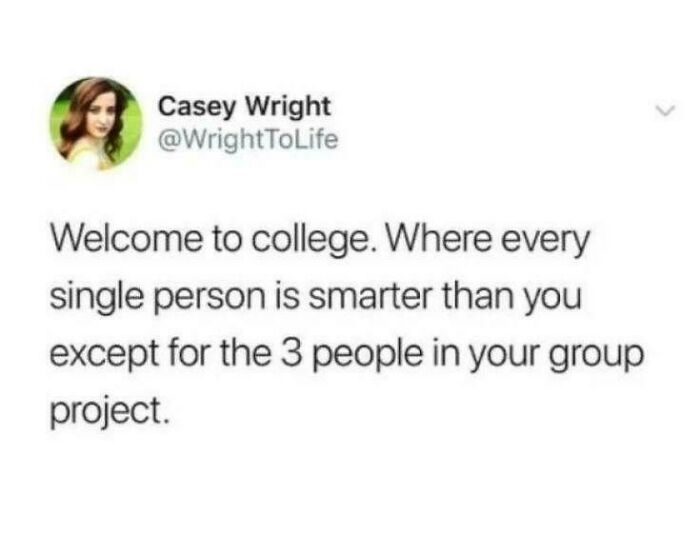 College meme showing a humorous quote about students feeling less smart except for group project members.