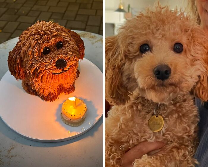 Dog-shaped cake with intricate frosting details beside a small lit birthday candle, showcasing masterfully crafted cakes creativity.