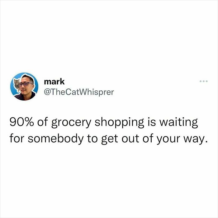 Tweet about relatable parenting and marriage humor showing frustration during grocery shopping waits.