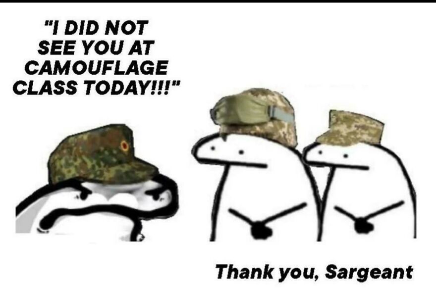 Meme showing characters in military hats with a joke about missing camouflage class and an angry upvote reaction.