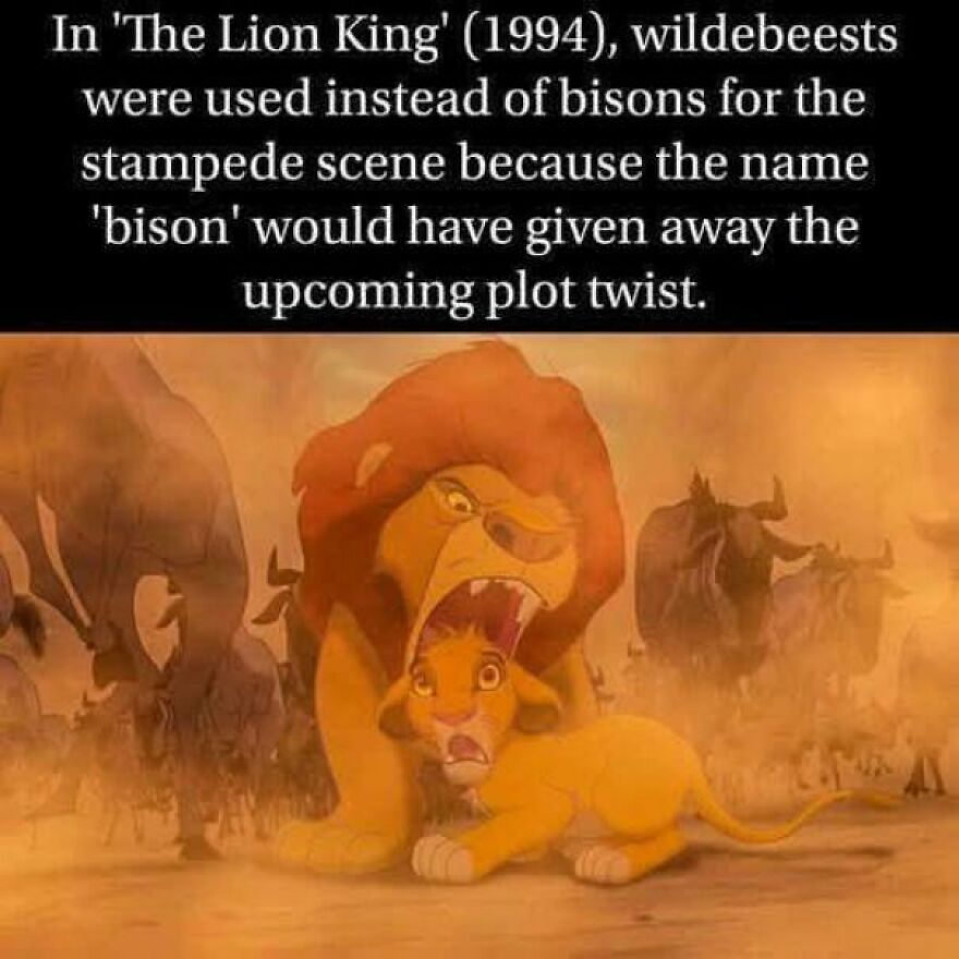 Scene from The Lion King (1994) showing wildebeests used in a stampede instead of bisons, with angry and surprised lions.