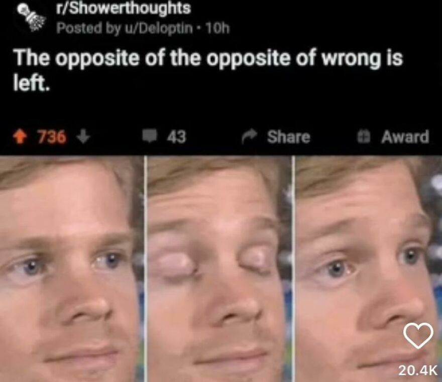 Reddit post with a horrible joke about opposites, rewarded by angry upvotes and a confused facial reaction meme.