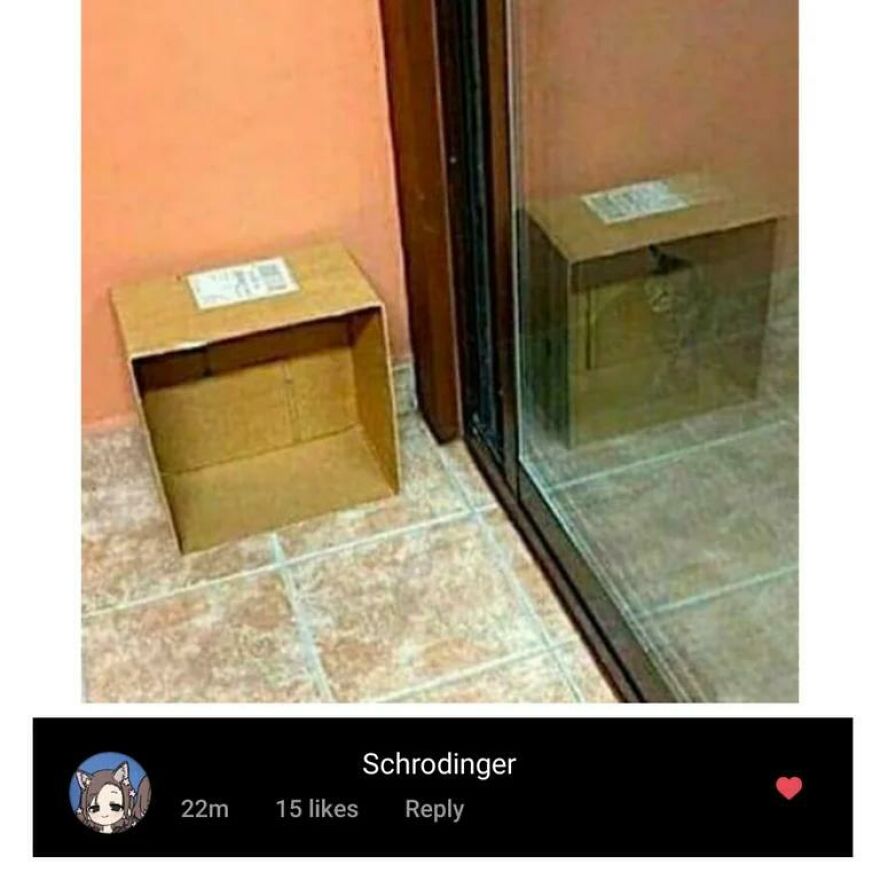 Empty cardboard box placed near a glass door, paired with an angry upvote comment referencing a horrible joke.