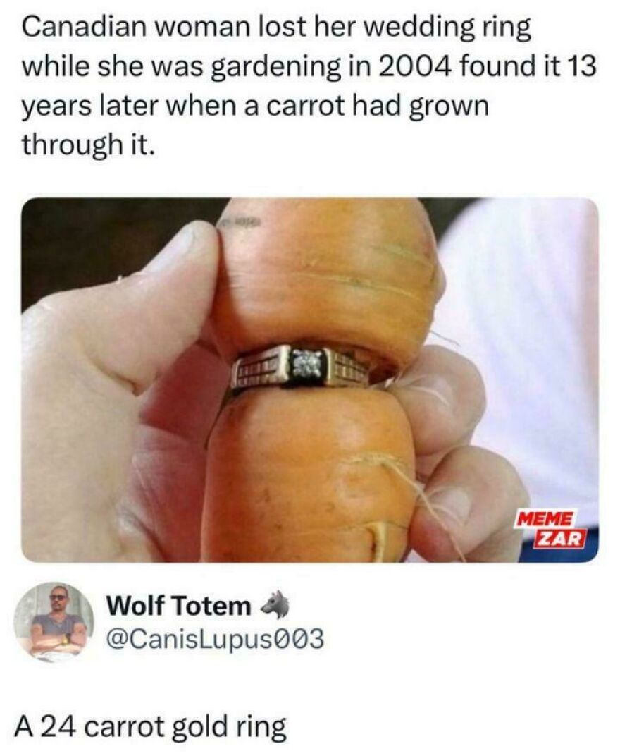 Hand holding a carrot with a gold ring growing through it, illustrating a horrible joke rewarded with an angry upvote.