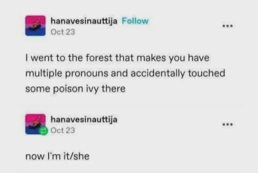 Social media joke about pronouns and poison ivy, illustrating a horrible joke rewarded with an angry upvote.