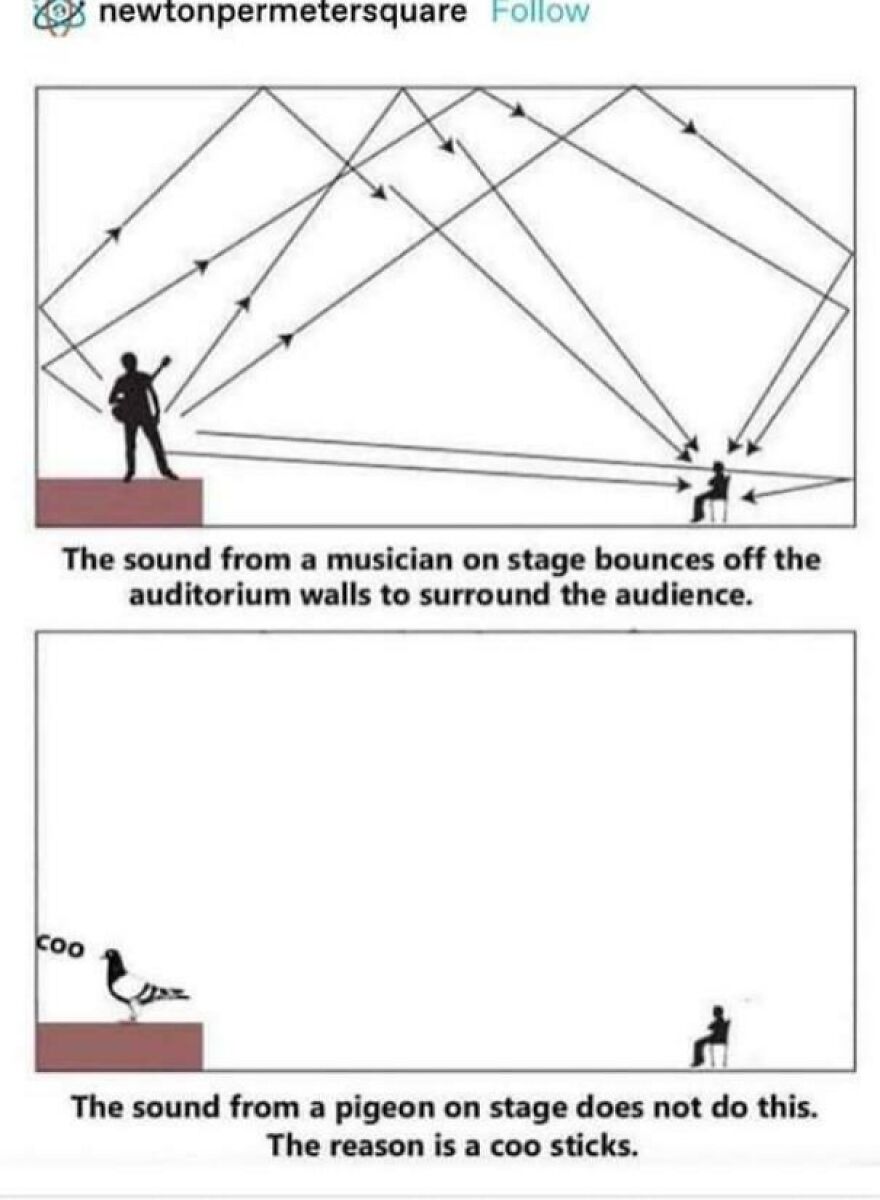 Diagram comparing sound bouncing from a musician on stage versus a pigeon, featuring a pun about horrible jokes and angry upvotes.