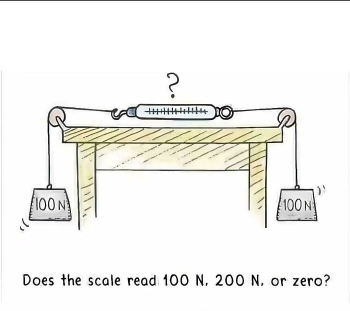 Weird math problem showing a scale with two 100 N weights and a question about the correct reading value.