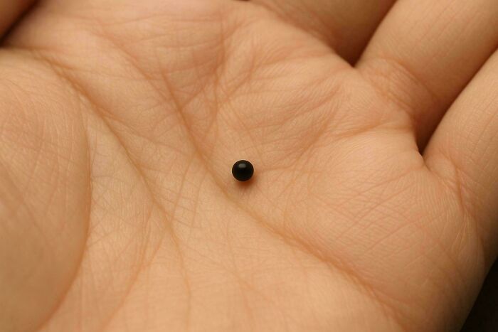Close-up of a hand holding a tiny black bead, illustrating a weird math problem involving small objects and measurements.