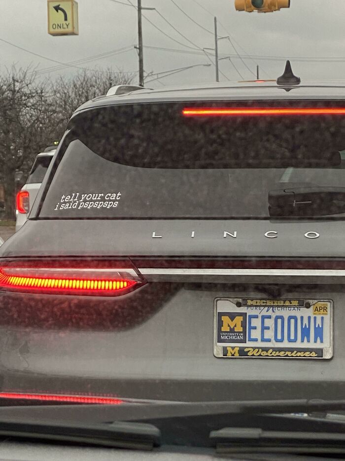 Personalized license plate EE00WW on a Lincoln car with a humorous cat-related window decal.