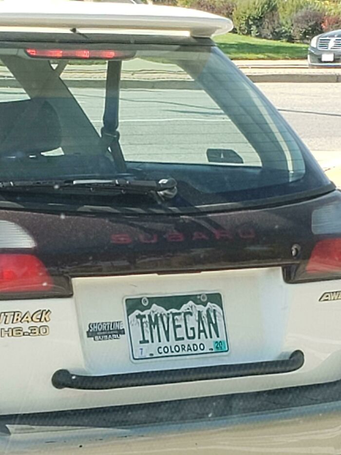 Personalized license plate on Subaru Outback with the text IMVEGAN, a funny personalized license plate example.