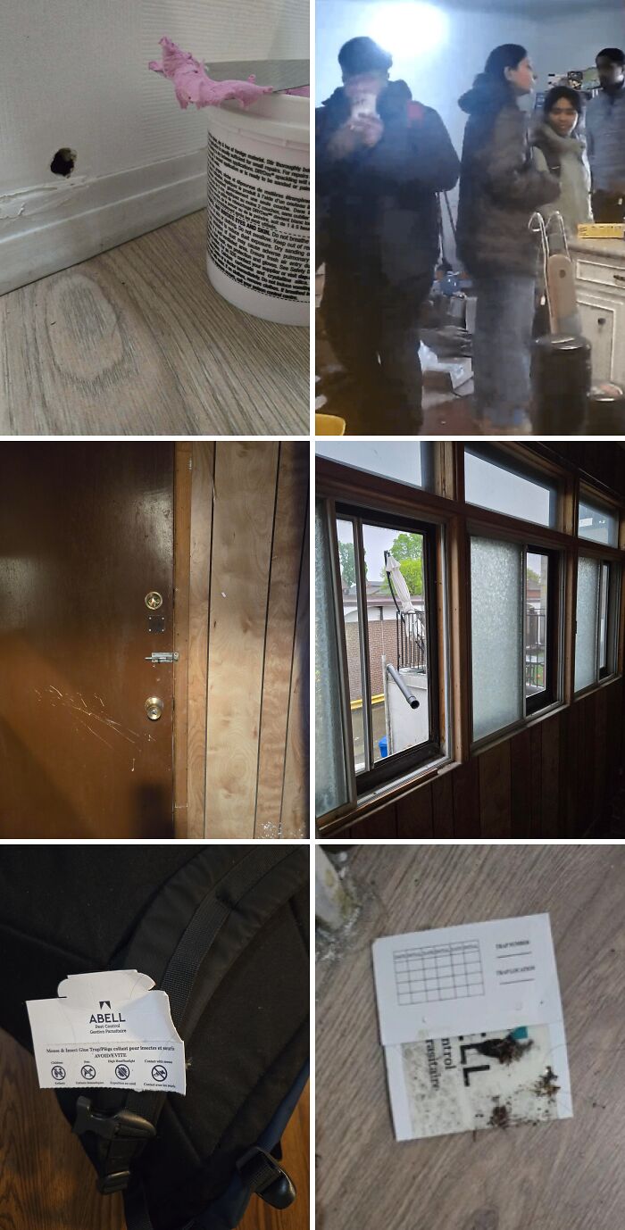 Various rental property issues including poor repairs, damaged windows, pest control failures, and tenant concerns in rental nightmares.