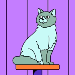 madelynnnorton avatar