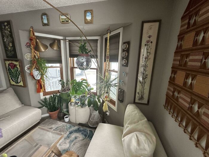 Cozy living room filled with secondhand store finds including vintage plants, decor, and unique unexpected surprises.