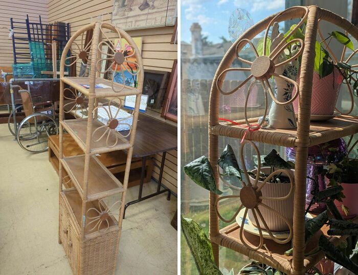 Wicker shelving unit with floral design found at a secondhand store holding various potted plants by a sunlit window.