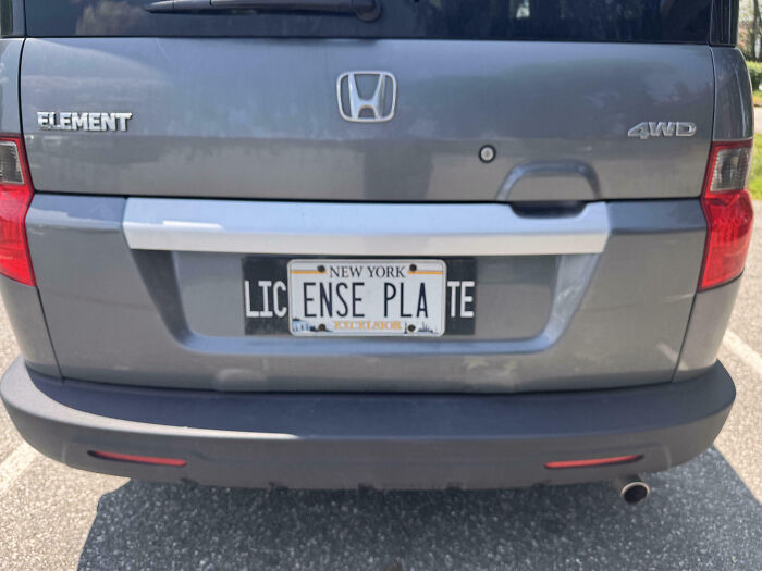 Personalized license plate on a gray Honda Element with a New York plate humorously altered to read ENSE PLA.