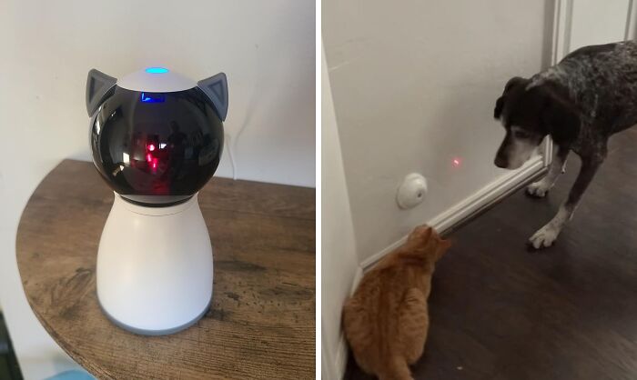 A Motion Detection Cat Laser Will Give Your Cat The One Thing It Has Always Wanted: A Tiny, Elusive, And Deeply Frustrating Red Dot To Chase, All Without You Having To Lift A Finger