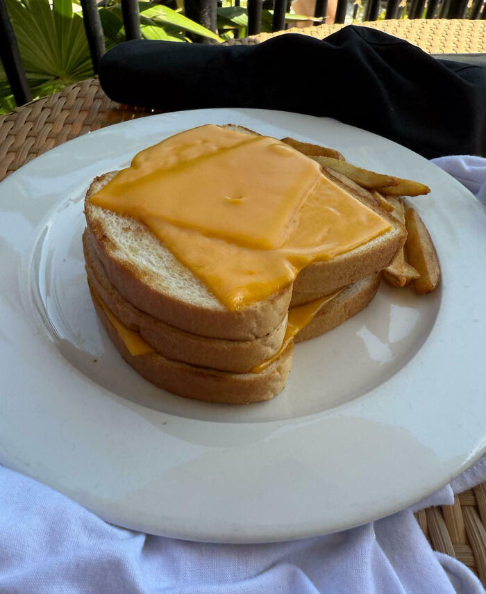 Overcooked sandwich with melted cheese and few fries on a white plate, showing outrageous meals unlike menu photos.