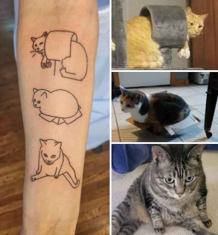 Minimalist cat tattoos on forearm paired with photos of real cats in quirky sitting positions, showcasing wholesome tattoos meaning. Minimalist cat tattoos on forearm paired with photos of real cats in quirky sitting positions, showcasing wholesome tattoos meaning.