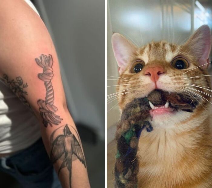 Tattoo of a tied rope and bird on an arm next to a cat playfully biting a textured toy, showcasing wholesome tattoos meaning.
