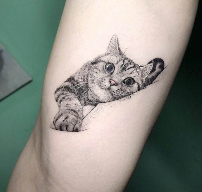 Realistic cat tattoo on forearm showcasing wholesome tattoos with intricate detail and meaningful little ink design. Realistic cat tattoo on forearm showcasing wholesome tattoos with intricate detail and meaningful little ink design.