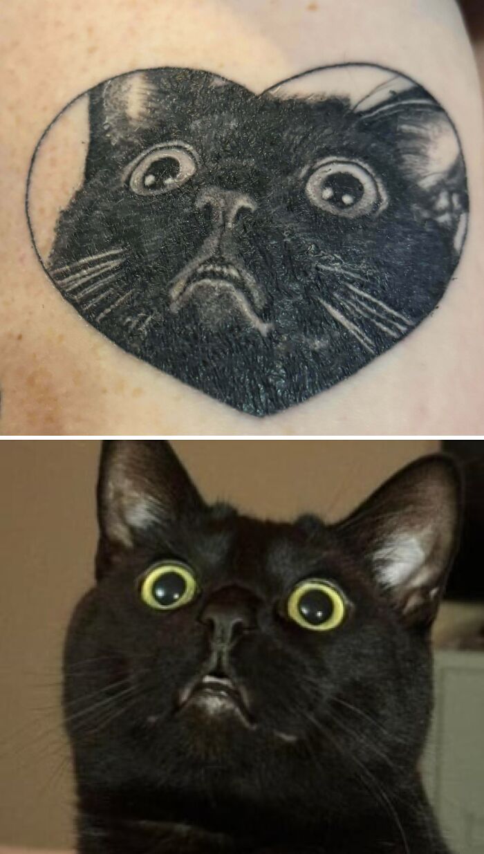 Black cat face tattoo in a heart shape compared to the actual cat, showcasing wholesome tattoos with meaningful ink. Black cat face tattoo in a heart shape compared to the actual cat, showcasing wholesome tattoos with meaningful ink.