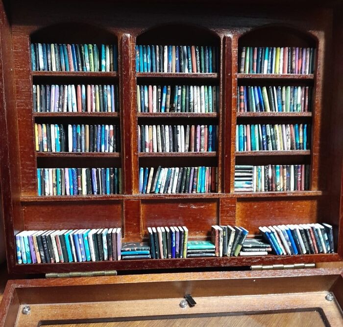Miniature books neatly arranged on wooden shelves, a unique and eye-catching gift idea for collectors.