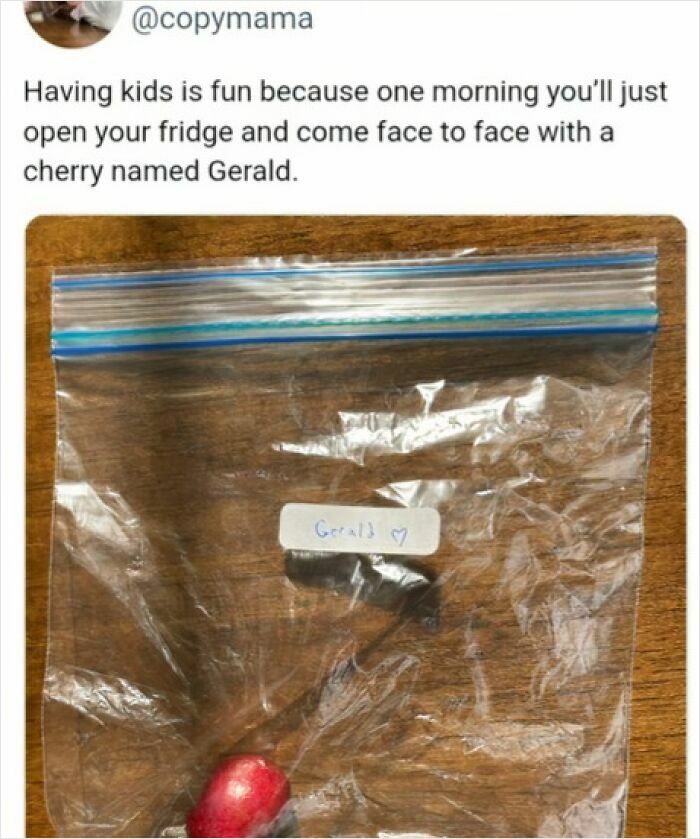 Funny meme showing a single cherry named Gerald in a plastic bag, highlighting cheerful memes that brighten online time.