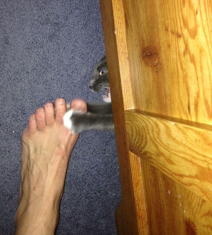 Cat paw playfully grabbing a bare foot from behind a wooden dresser in a funny and interesting perfect timing pic.