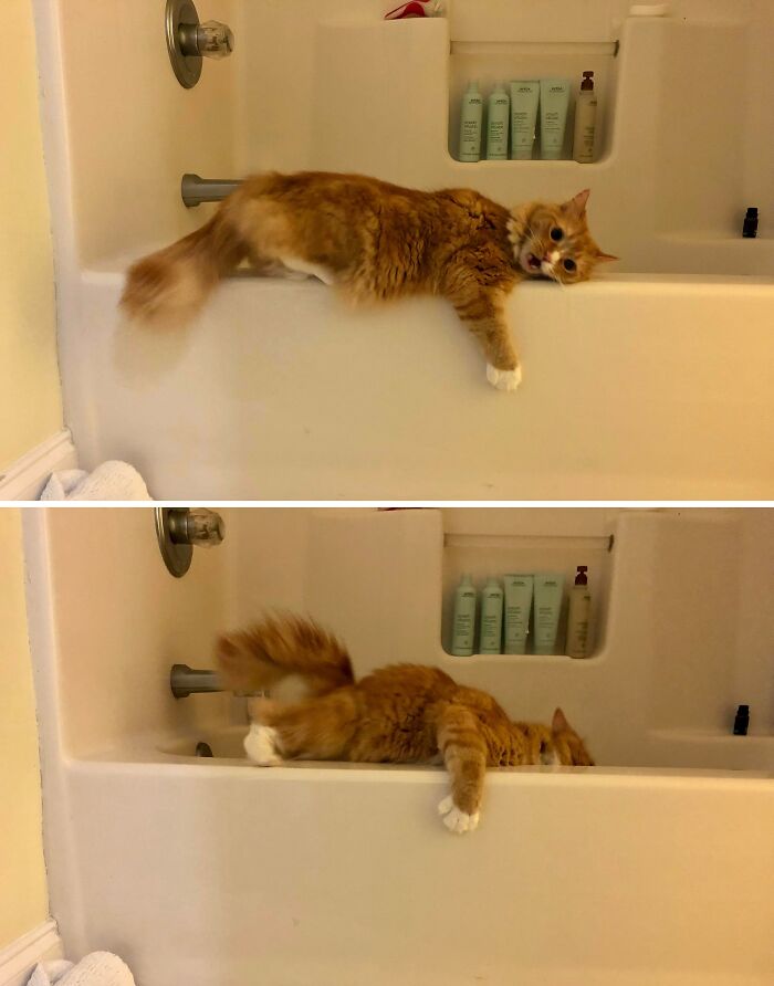 Ginger cat captured at the perfect time while lounging awkwardly on the edge of a bathtub in a bathroom setting.