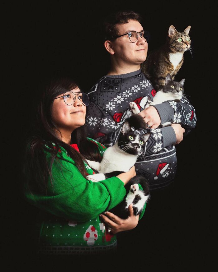 Minha esposa e eu fizemos uma foto de cartão de Natal inspirada nos anos 80 com nossos gatos este ano