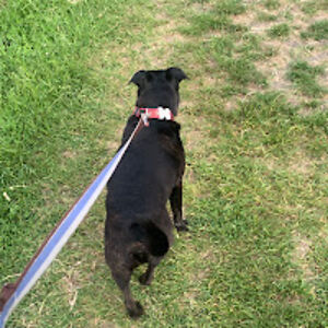 mayleighgenet avatar