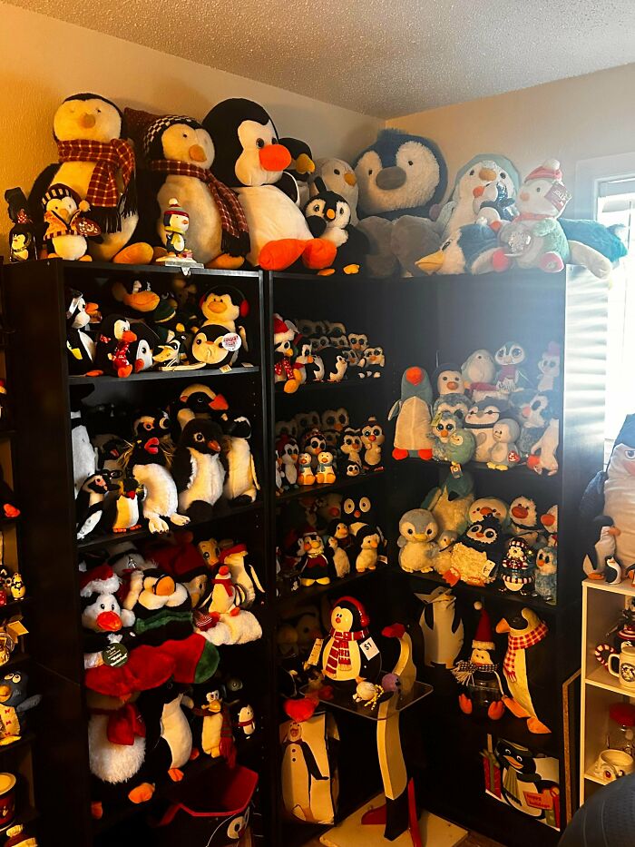 50 Home Professionals Share The Quiet Red Flags They Notice Inside People’s Homes