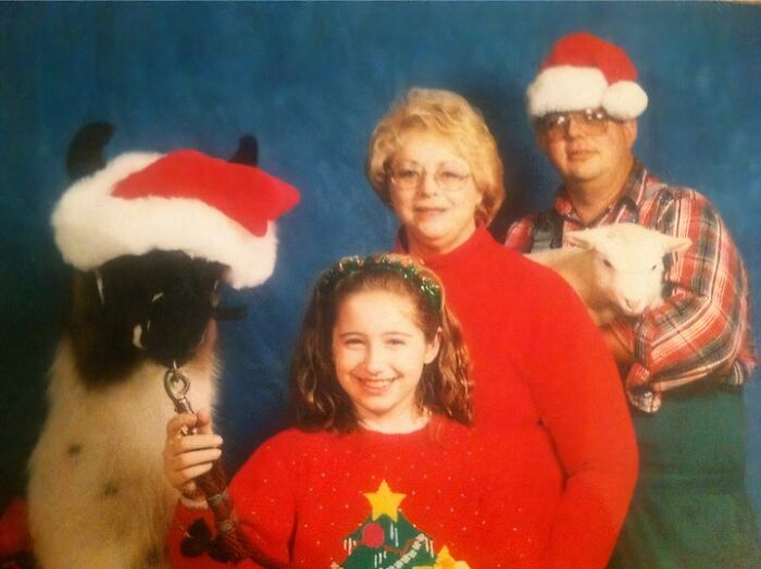 Family posing with llamas in Santa hats for a hilariously awkward family Christmas photo with festive sweaters and smiles.